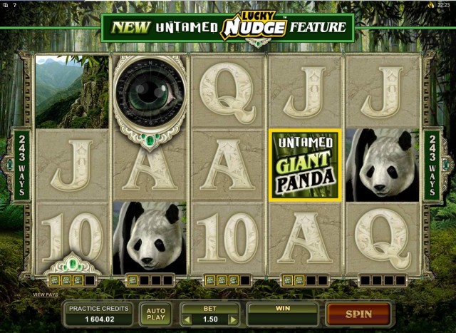 Untamed Giant Panda Slots